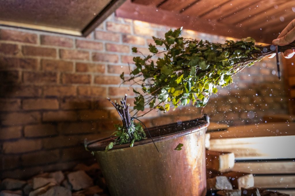 Wenik Banja Birkenzweig