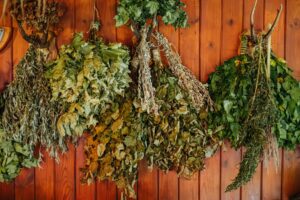 Mehr über den Artikel erfahren NATUR PUR Woche – die Kraft der Natur in der Sauna